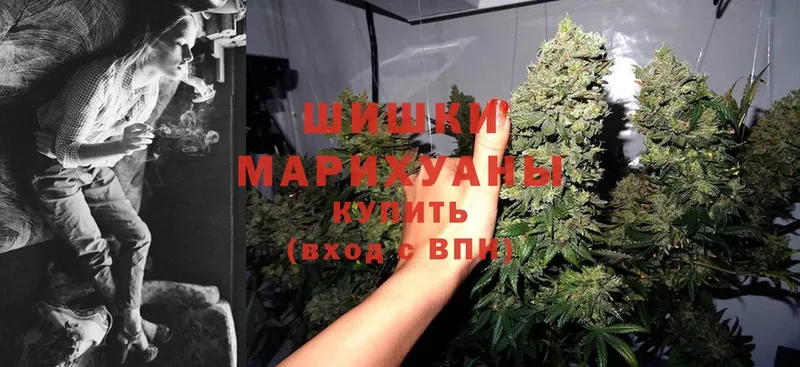 Бошки Шишки White Widow  Горнозаводск 